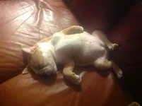 image.webp