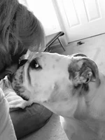 Joey and Mom.webp