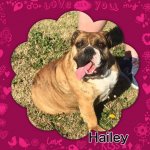 12923373_1037784966291718_1987798307828260202_n.jpg 12923373_1037784966291718_1987798307828260202_n.jpg