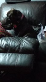 Pretend to look away.jpg