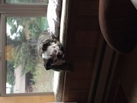 image.jpeg image.jpeg