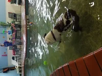 20160806_134239.webp