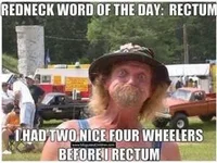 rectum.webp