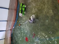 20160806_133701.webp
