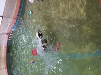 20160806_133700.webp