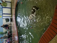 20160806_133559.webp