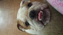 20150905_150226.webp