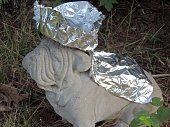 foil2.jpg