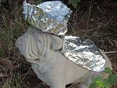foil2.webp