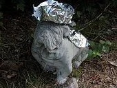 foil23.webp
