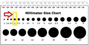 BentleyTracheasize.jpg