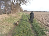 RIMG0495.webp