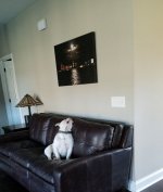 20160321_183844.jpg