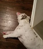 20160803_204727.webp