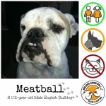 meatball.jpg