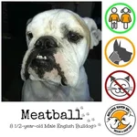 meatball.webp