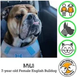 myla.webp