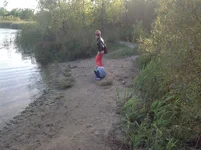 image.webp