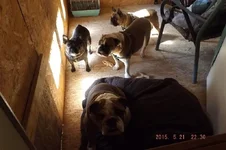 DSCF5468.webp