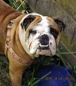 DSCF5591.webp