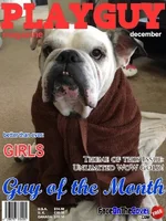 This-is-Bull-_big.webp
