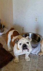 Libbey.jpg Libbey.jpg