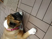 20160526_091443.webp