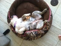 photo.sleepIII.JPG