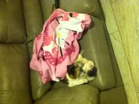 photosp.webp