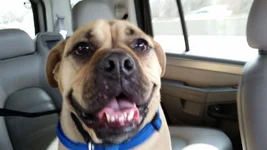 20150315_122048.webp