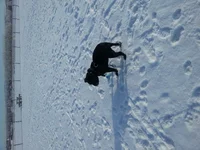 Lost my ball.webp
