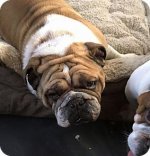 wrinkles1.jpg wrinkles1.jpg