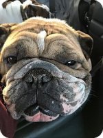 wrinkles2.jpg wrinkles2.jpg