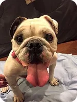 magoo.webp magoo.webp