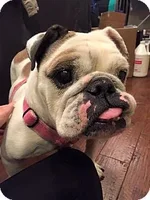 magoo1.webp magoo1.webp