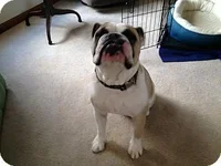 oscar1.webp