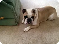 oscar3.webp