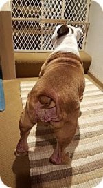 rocky6.jpg rocky6.jpg