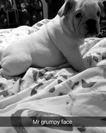 benny4.webp