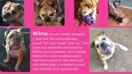 wilma.jpg