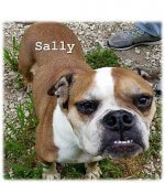 sally3.jpg sally3.jpg