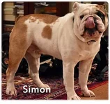 simon.webp