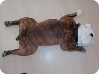 mj2.webp