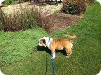buddy2.jpg buddy2.jpg
