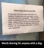 Dog peanut allergies.webp