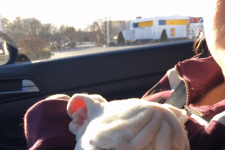 asleep in moms arms.png asleep in moms arms.png