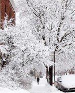 Beautiful walk day in Montreal .jpg