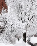 Beautiful walk day in Montreal .webp