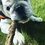 my stick.webp my stick.webp