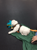 sleepin In Class.png sleepin In Class.png